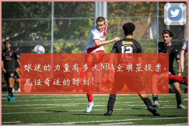 球迷的力量有多大NBA全明星投票，见证奇迹的时刻！
