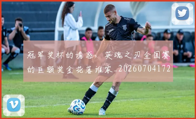 冠军奖杯的诱惑，英魂之刃全国赛的巨额奖金花落谁家_20260704172736